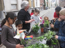 SPEELSTRAAT 2011